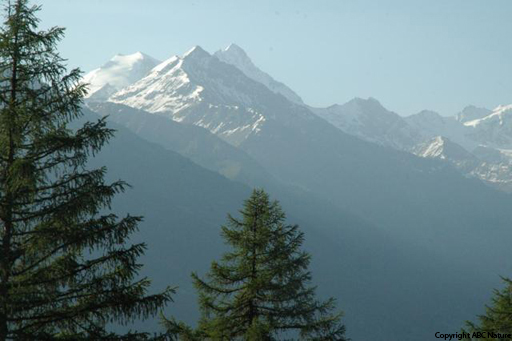 Panorama Alpestre